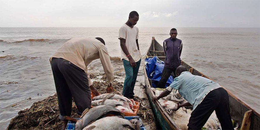 The value of fish caught in the country rose by 4.5 percent to hit
